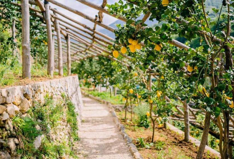 بنسيون Villa Le Murelle