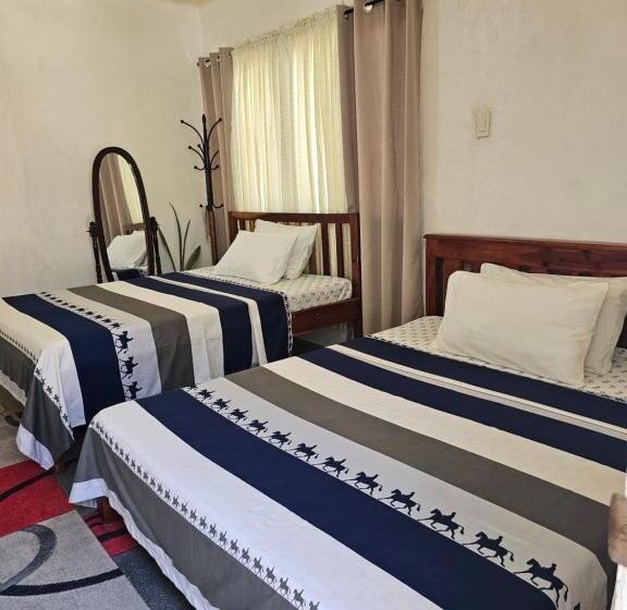 هاستل D & N Lodge