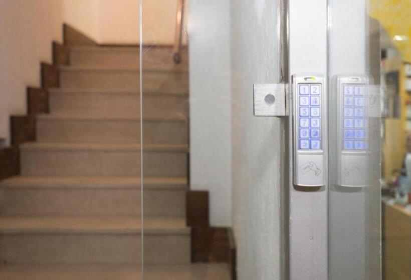 هاستل Porto Automatic