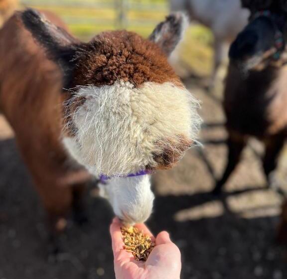 Balachladaich Loch Ness B&b