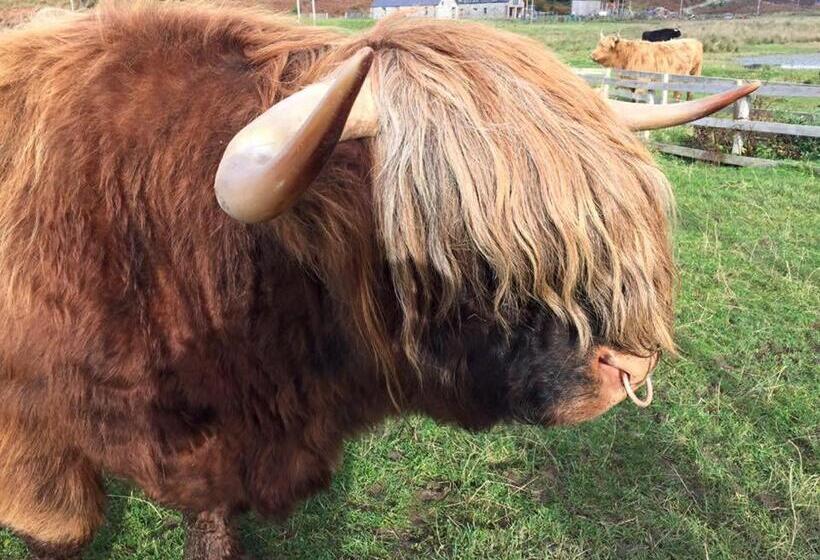 Balachladaich Loch Ness B&b