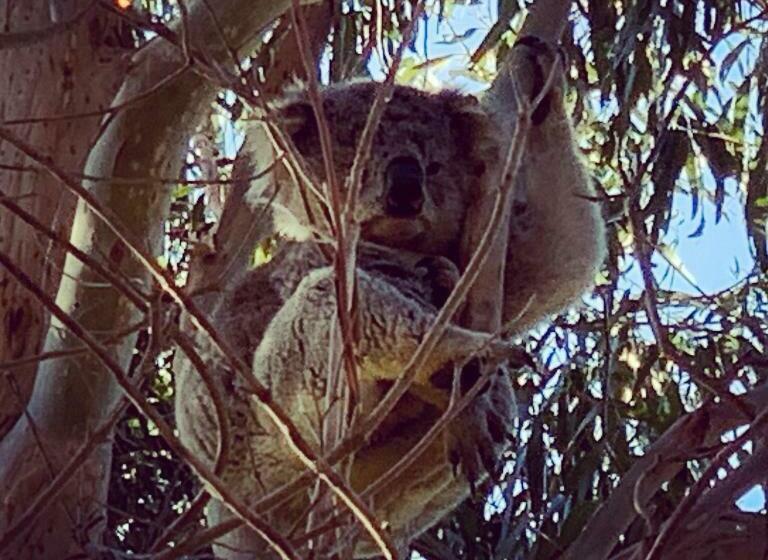 צימר Arnold House