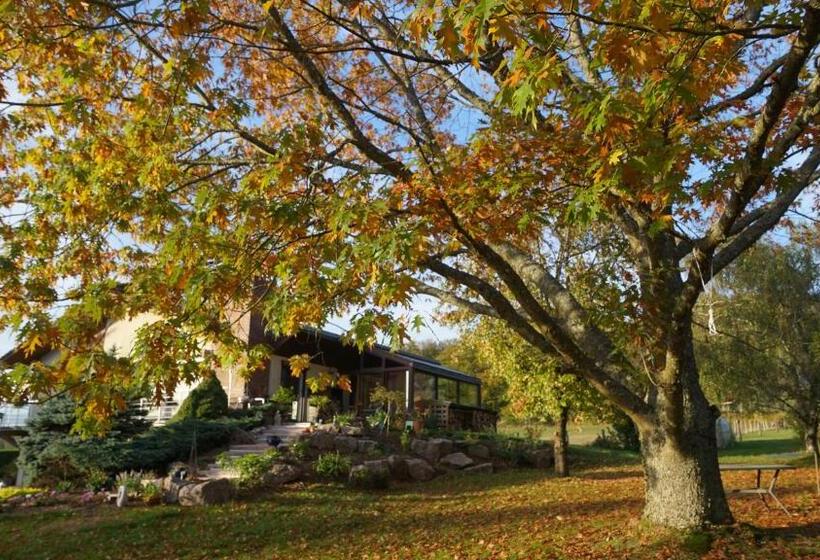 住宿加早餐  Chambres D Hôtes De L Avison