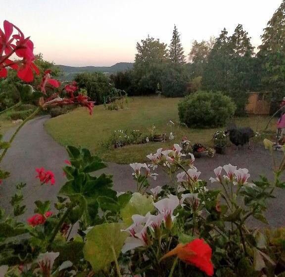 Bed and Breakfast Chambres D Hôtes De L Avison