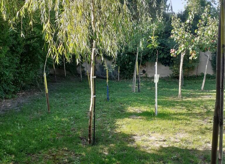 مبيت وإفطار Chambres D Hôtes Gobillon