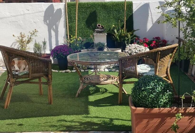 تختخواب و صبحانه Habitaciãƒâ³n Centro Gandia