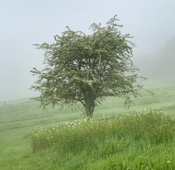 ベッドアンドブレックファースト L Impasse De Lincé