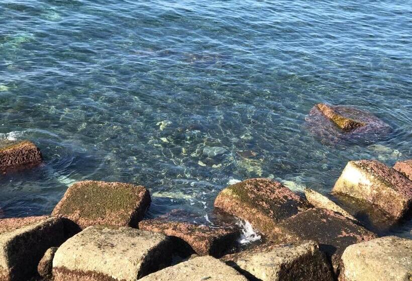 Bed and Breakfast La Cantina Dello Sgatto