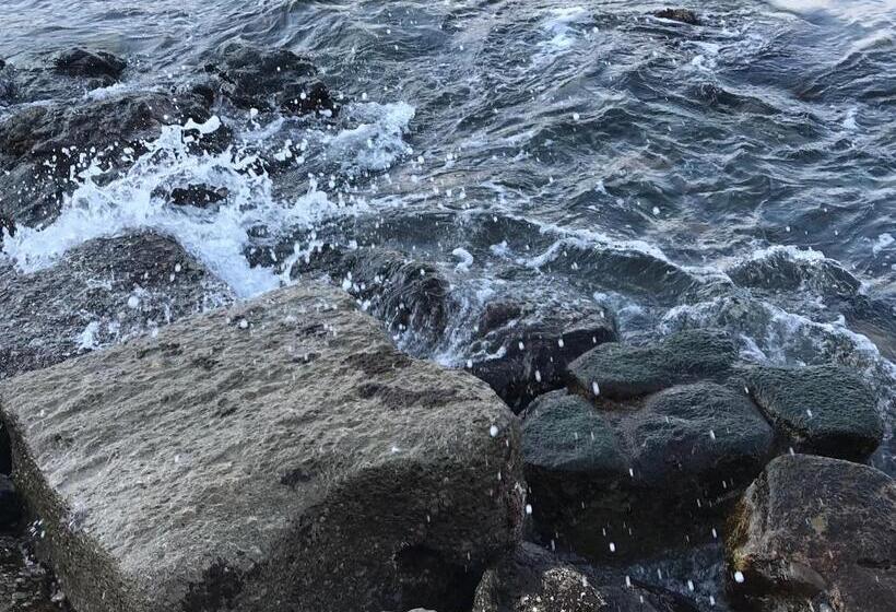 Bed and Breakfast La Cantina Dello Sgatto