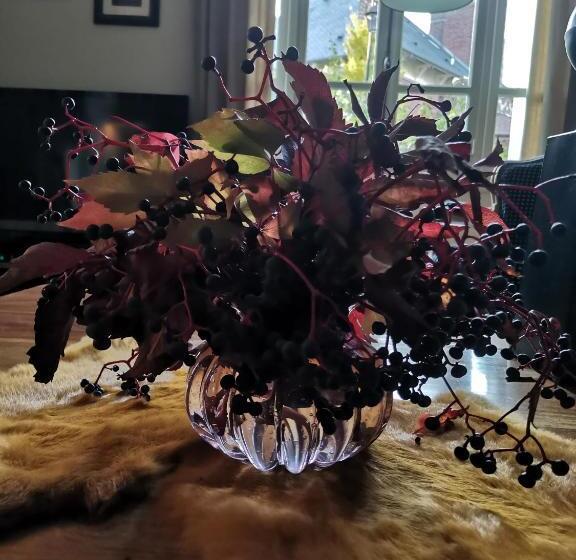 مبيت وإفطار La Maison De Ville