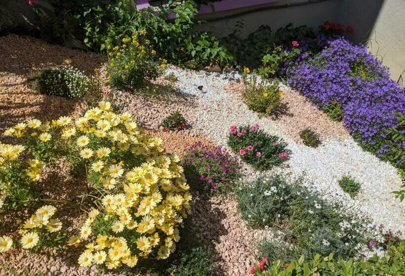 مبيت وإفطار Nel Giardino Di Oz