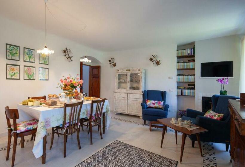 住宿加早餐  Pietrantica   Affittacamere Con Giardino Nuova Apertura A Trebiano  Citr