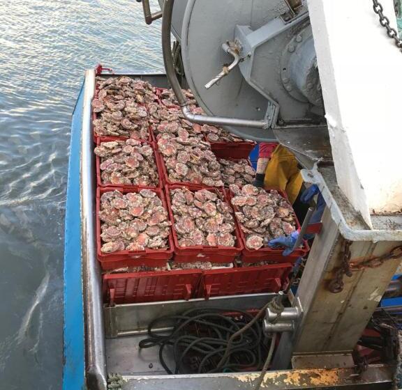 住宿加早餐 Roulage Ferme 18ème Normandie Plage