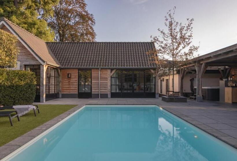 住宿加早餐 Sjiek Basiliek