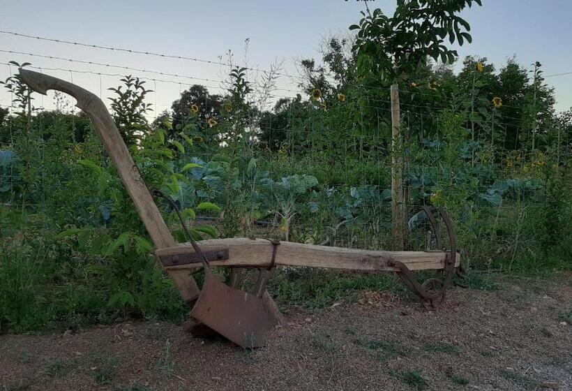 住宿加早餐 Tapada Do Chafariz