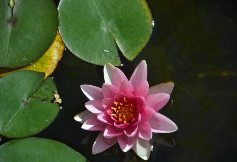 ベッドアンドブレックファースト Ter Thuyne