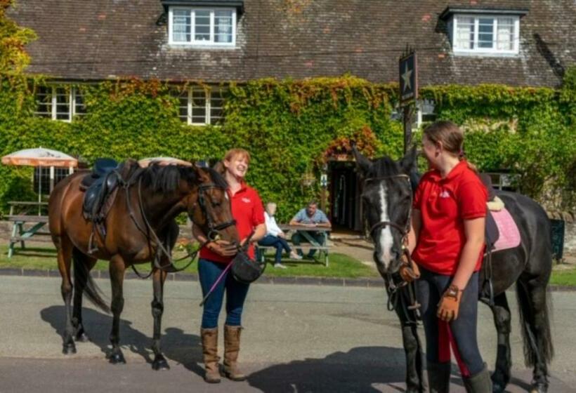 Bed and Breakfast The Star Inn