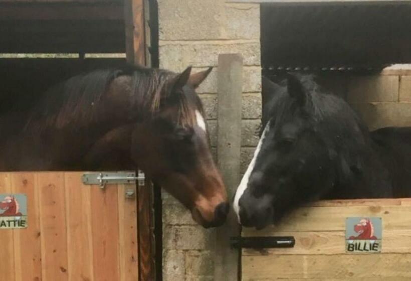 Bed and Breakfast The Star Inn