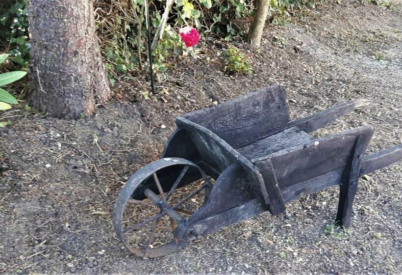 צימר Valentine 44