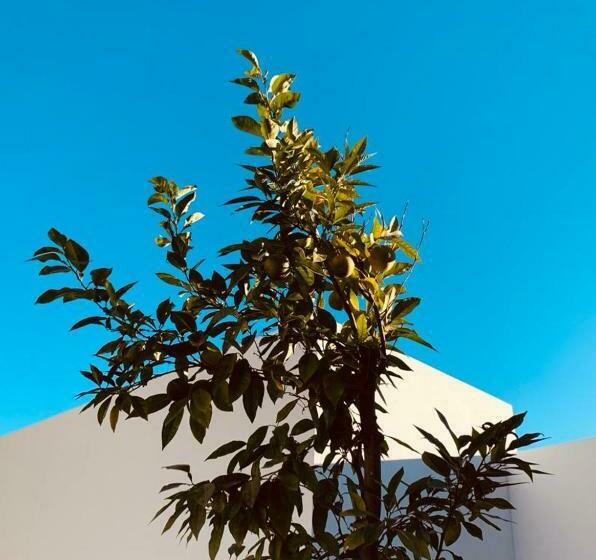 Bed and Breakfast Villa Azahar, Benahavis Marbella