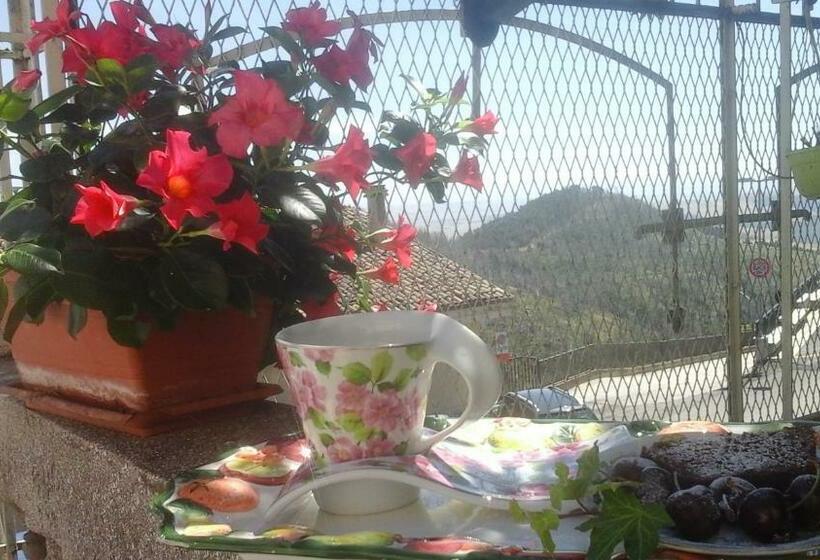 مبيت وإفطار Villa Di Miscio