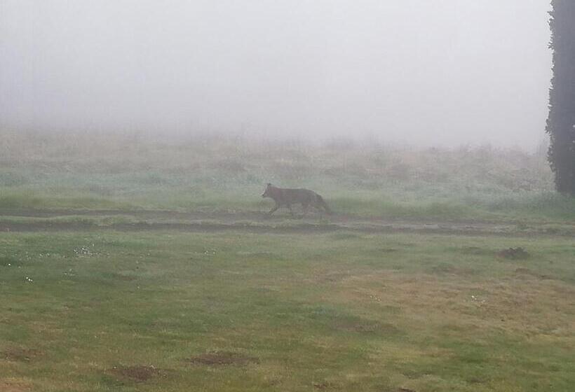 בית מלון כפרי Agriturismo Podere Bianca Maria