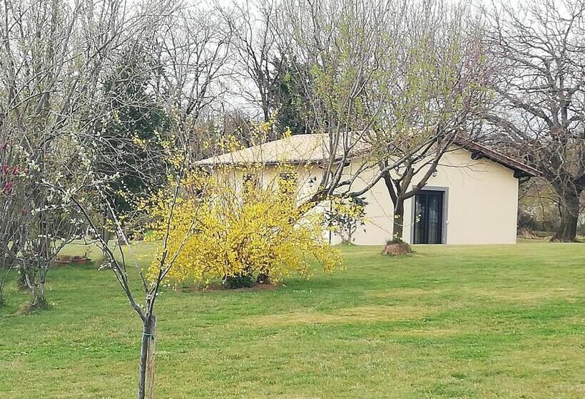 בית מלון כפרי Agriturismo Podere Bianca Maria