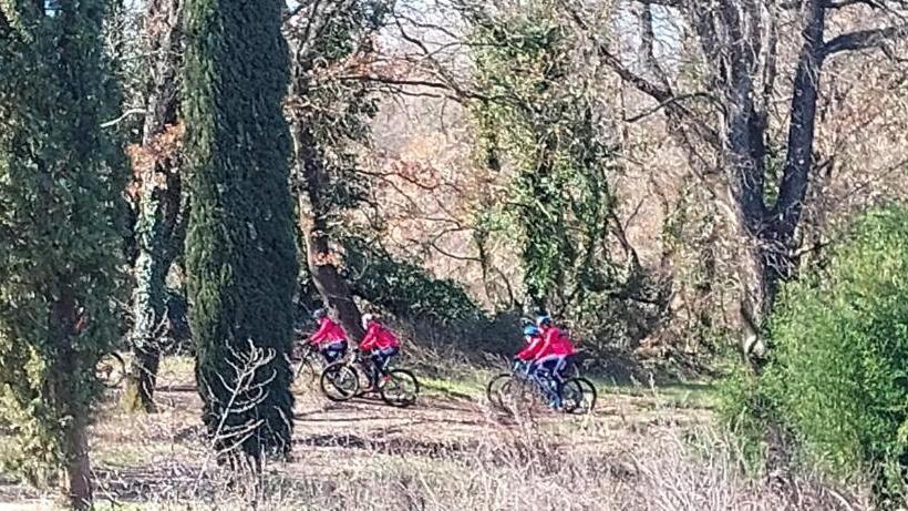 בית מלון כפרי Agriturismo Podere Bianca Maria