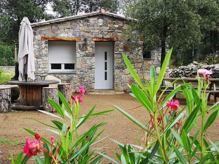 Отель Domaine Rondini