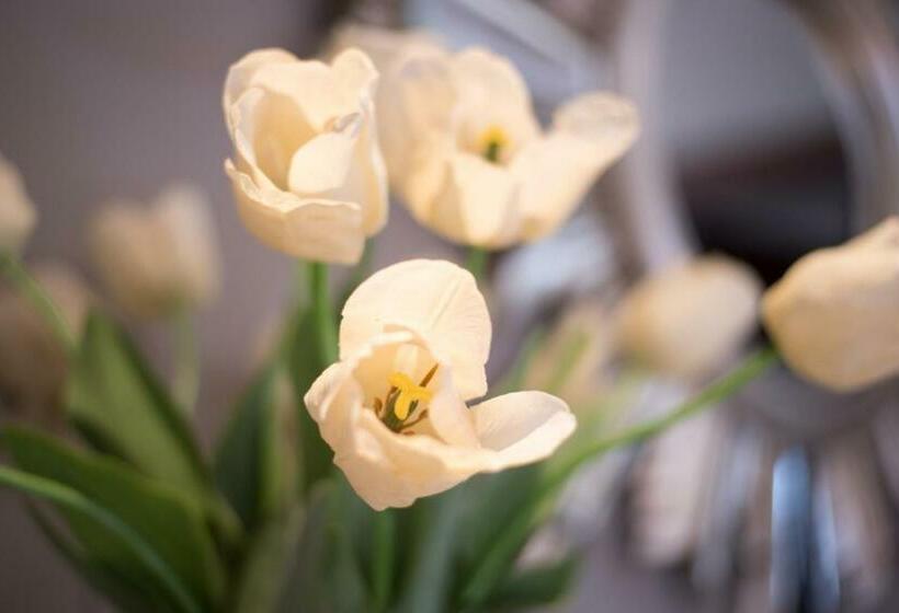 호텔 Potch Manor Boutique Guest House