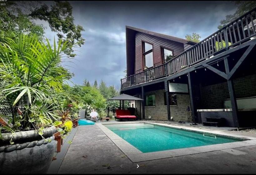 La Bohème   Bed & Breakfast