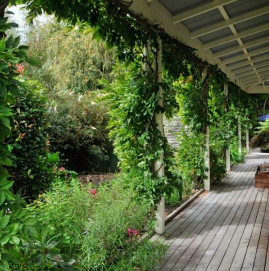 Olive Rabbit   Boutique Bed & Breakfast