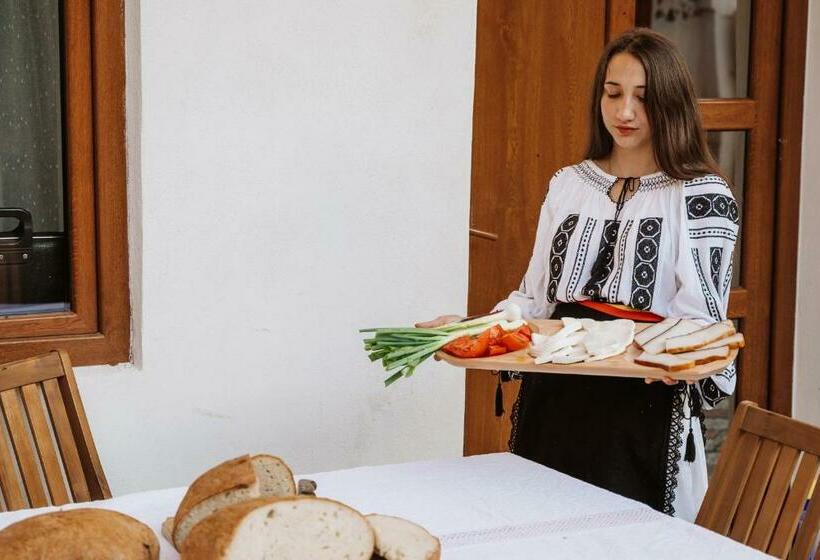 פנסיון Casa Brutarului Crit