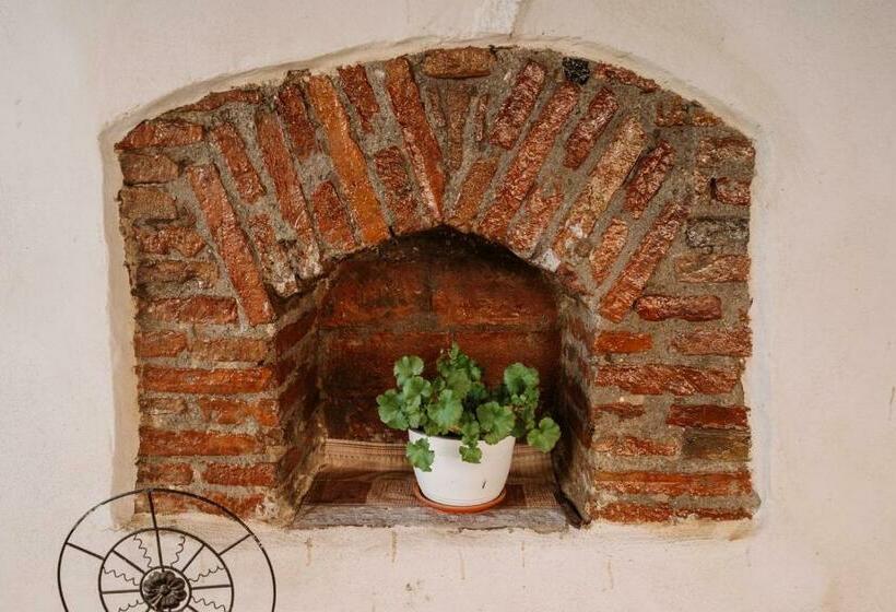 פנסיון Casa Brutarului Crit