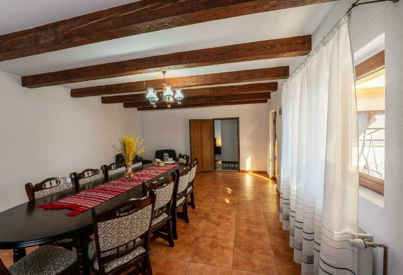 פנסיון Casa Brutarului Crit