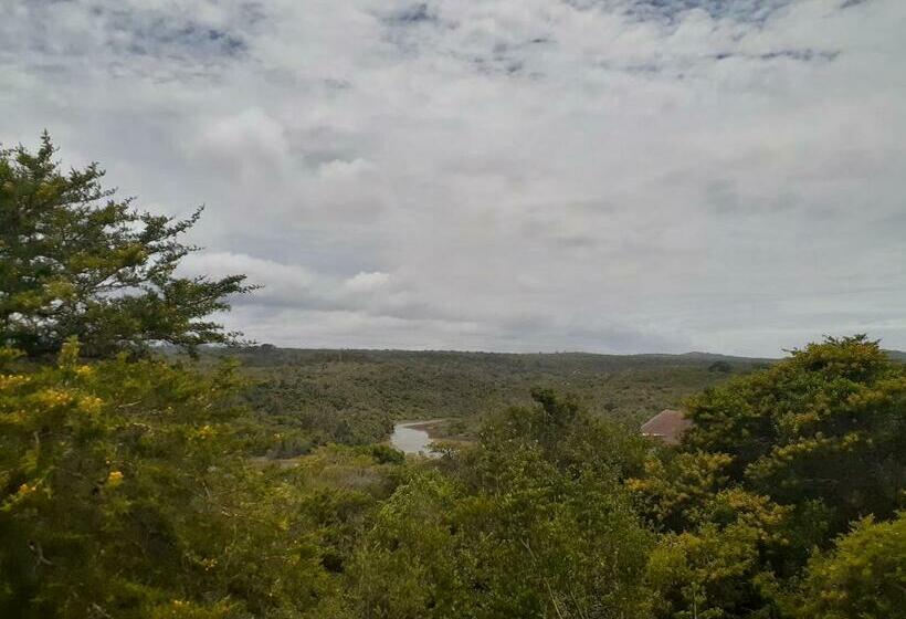 פנסיון De  Nessie