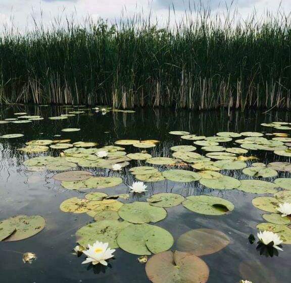 膳宿费 Gabi Szálló Vii