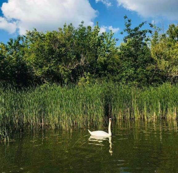 Пансион Gabi Szálló Vii