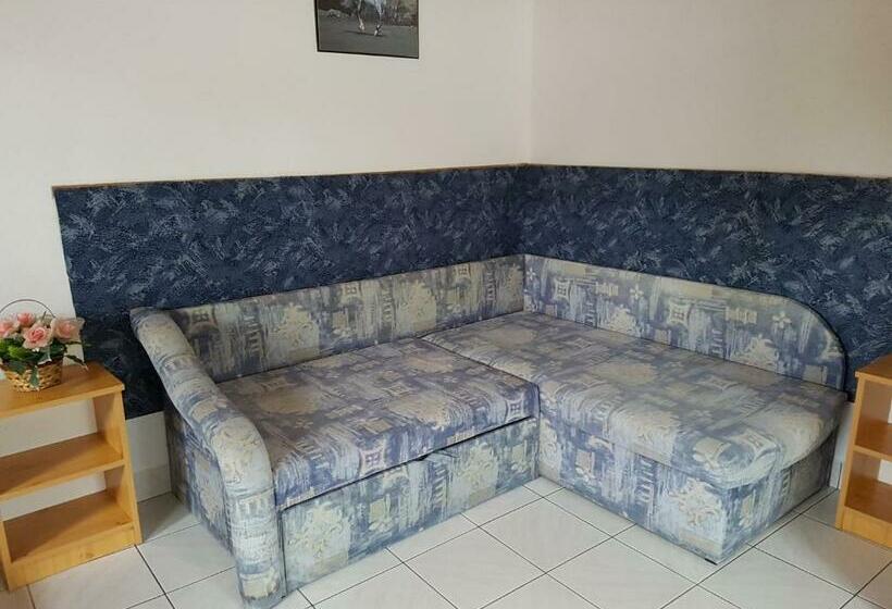 膳宿费 Gabi Szálló Vii