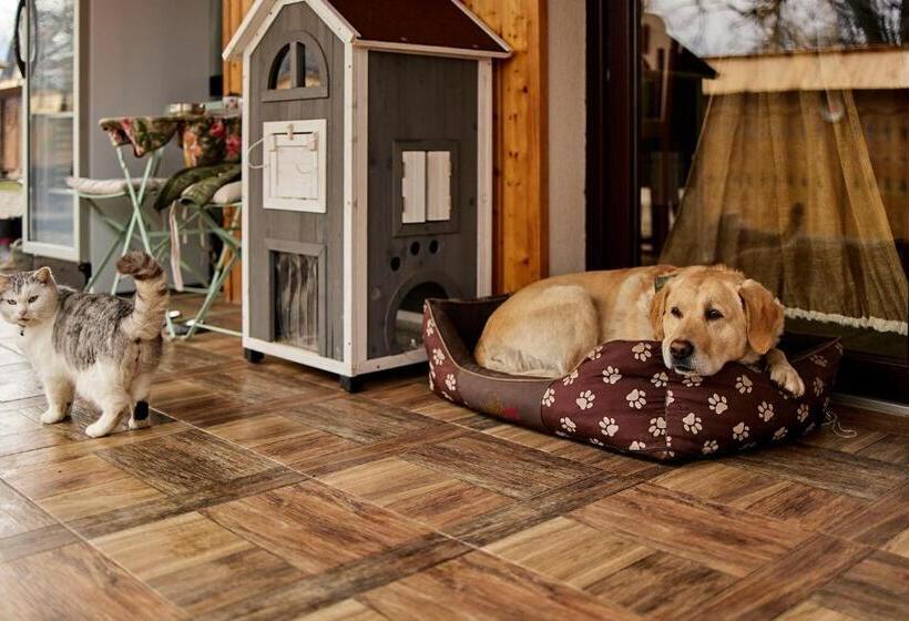 ペンション Gradina Lu  Ion A Home Away From Home