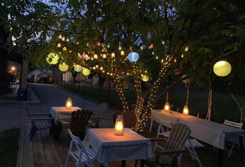 ペンション Gradina Lu  Ion A Home Away From Home