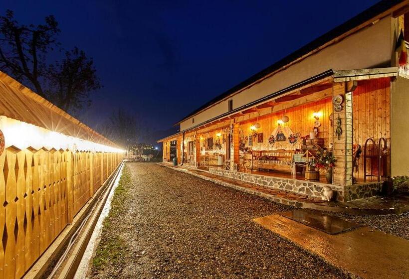 ペンション Gradina Lu  Ion A Home Away From Home