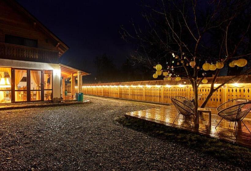 ペンション Gradina Lu  Ion A Home Away From Home