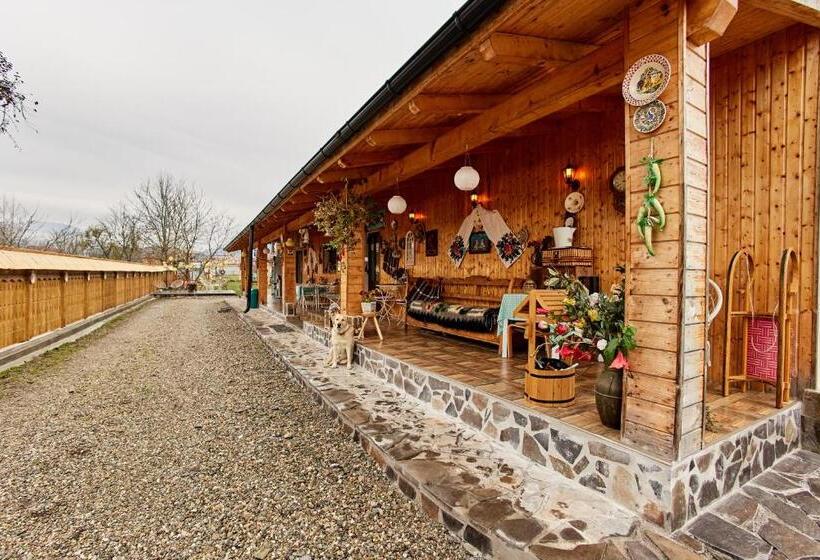 پانسیون Gradina Lu  Ion A Home Away From Home