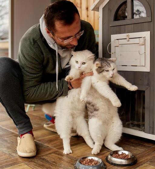 ペンション Gradina Lu  Ion A Home Away From Home