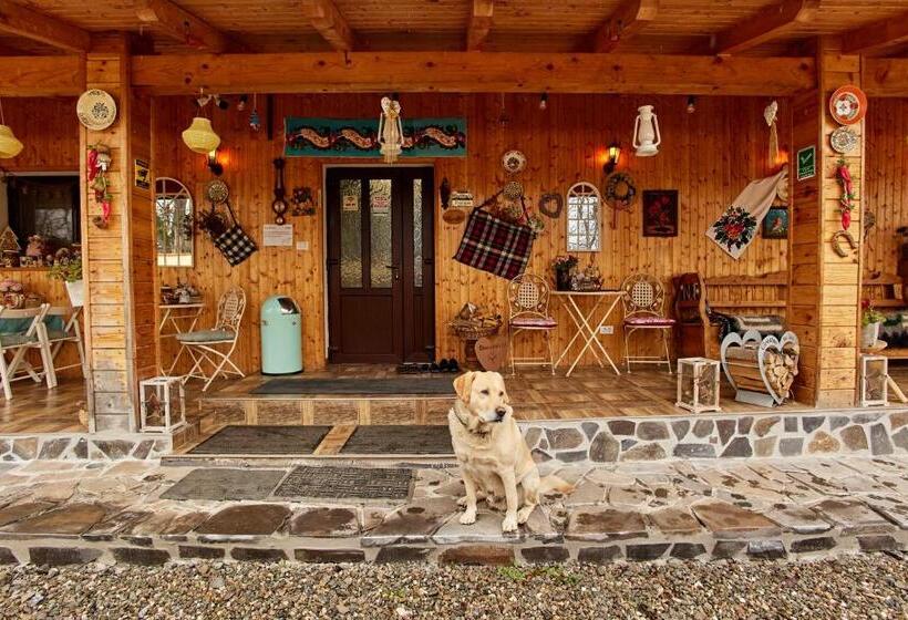 ペンション Gradina Lu  Ion A Home Away From Home