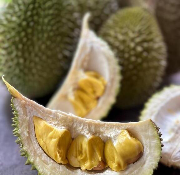 Пансион Kung Nok Tha Resort Nakhon Si Thammarat