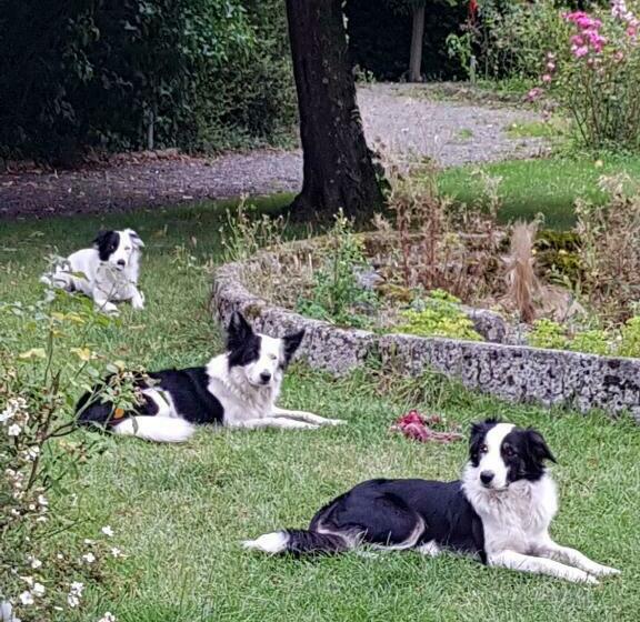 펜션 Les Chevaux De L Hippocampe