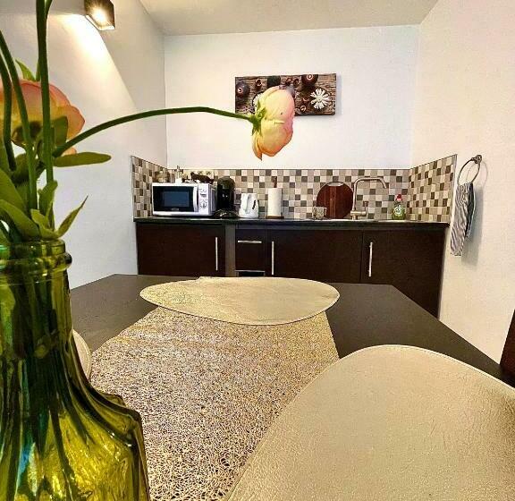 Пансион Nocturno