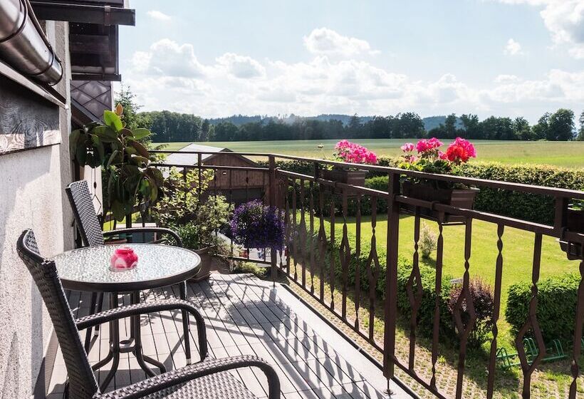 פנסיון Penzion Benešov